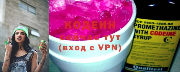 прущие грибы Кулебаки