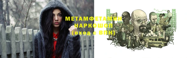 прущие грибы Кулебаки