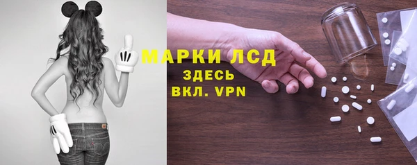 стаф Кукмор