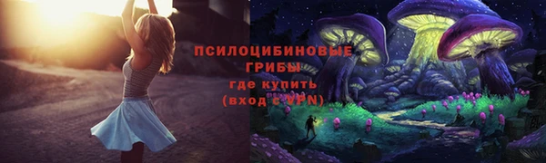 прущие грибы Кулебаки