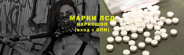 прущие грибы Кулебаки