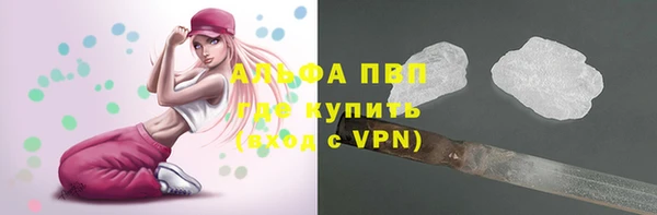 стаф Кукмор