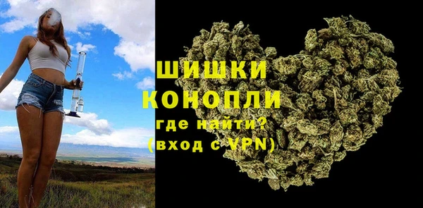 прущие грибы Кулебаки