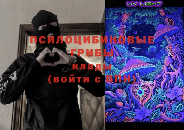 прущие грибы Кулебаки