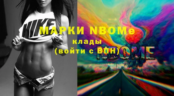 прущие грибы Кулебаки