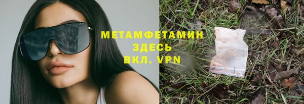 прущие грибы Кулебаки