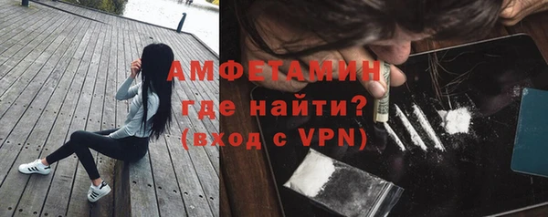 прущие грибы Кулебаки