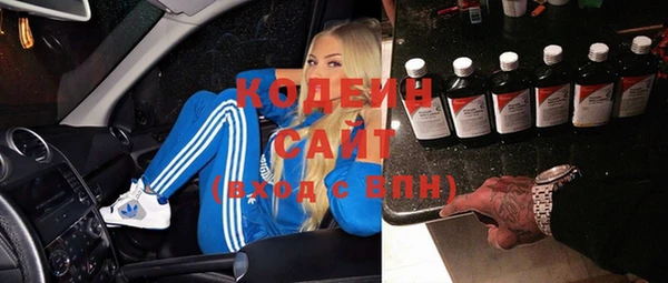 прущие грибы Кулебаки