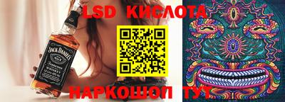 дмт Будённовск