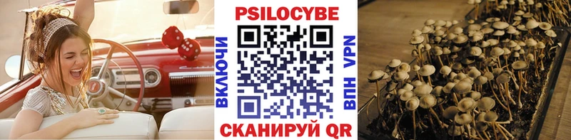 Псилоцибиновые грибы Psilocybine cubensis  Тутаев 