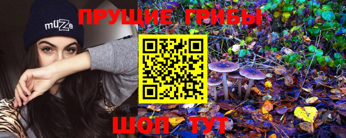 наркота  Тутаев  Галлюциногенные грибы Magic Shrooms 