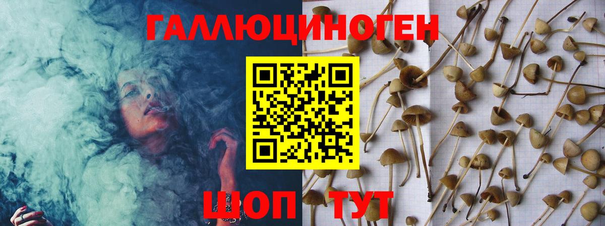 Галлюциногенные грибы прущие грибы  Вход с VPN  Тутаев  Галлюциногенные грибы MAGIC MUSHROOMS 