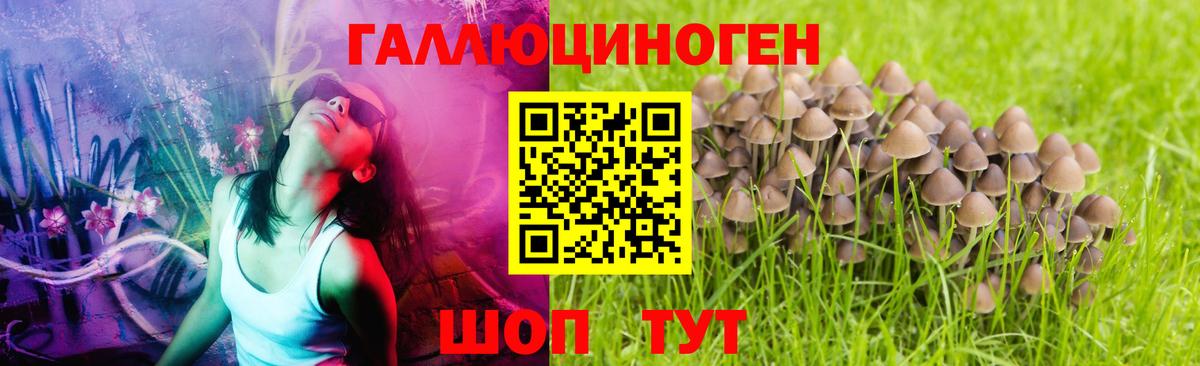 Галлюциногенные грибы MAGIC MUSHROOMS Тутаев